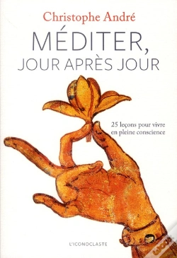 Capa do artigo Méditer Jour Après Jour ; 25 Leçons Pour Vivre En Pleine Conscience