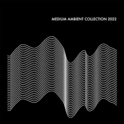 Capa do artigo Medium Ambient Collection 2022 Black - Vinil