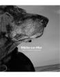 Médor-Sur-Mer - Preview
