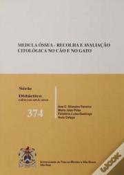 Medula Óssea