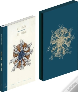 Capa do artigo Meduses - Jellyfish