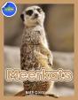 Meerkat Activity Workbook For Kids Ages 4-8 - Preview