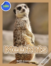 Capa do artigo Meerkat Activity Workbook For Kids Ages 4-8