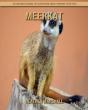 Meerkat - Preview