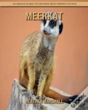 Capa do artigo Meerkat