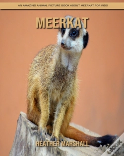 Capa do artigo Meerkat