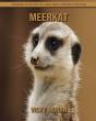 Meerkat - Preview