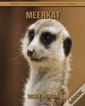 Capa do artigo Meerkat