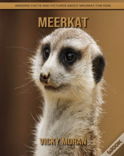 Capa do artigo Meerkat