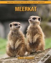 Capa do artigo Meerkat