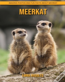 Capa do artigo Meerkat