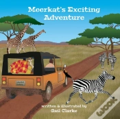 Capa do artigo Meerkat
