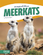 Meerkats - Preview
