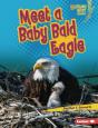 Meet A Baby Bald Eagle - Preview