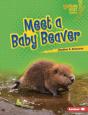 Meet A Baby Beaver - Preview