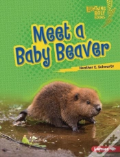 Capa do artigo Meet A Baby Beaver
