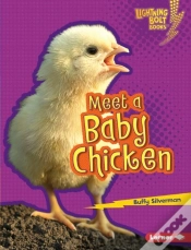 Capa do artigo Meet A Baby Chicken