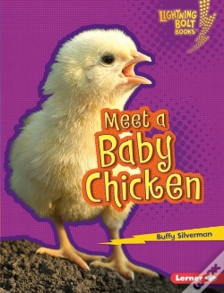 Capa do artigo Meet A Baby Chicken