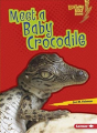 Meet A Baby Crocodile - Preview