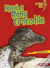 Meet A Baby Crocodile