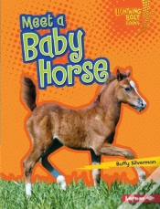 Capa do artigo Meet A Baby Horse