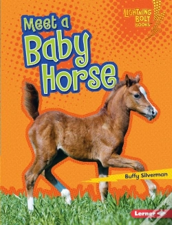 Capa do artigo Meet A Baby Horse