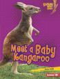 Meet A Baby Kangaroo - Preview