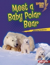 Capa do artigo Meet A Baby Polar Bear