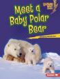 Meet A Baby Polar Bear - Preview