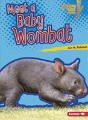 Meet A Baby Wombat - Preview