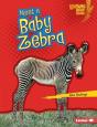 Meet A Baby Zebra - Preview