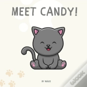 Capa do artigo Meet Candy!