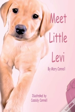 Capa do artigo Meet Little Levi