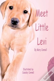 Capa do artigo Meet Little Levi