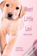 Meet Little Levi