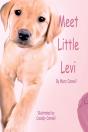 Meet Little Levi - Preview