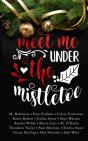 Meet Me Under The Mistletoe - Preview