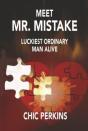 Meet Mr. Mistake - Preview