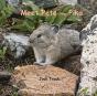 Meet Pete The Pika - Preview