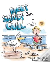 Meet Sandy Gull