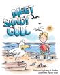 Meet Sandy Gull - Preview