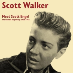 Capa do artigo Meet Scott Engel - Vinil