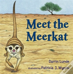 Capa do artigo Meet The Meerkat