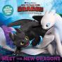 Meet The New Dragons - Preview