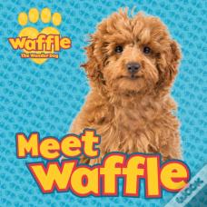 Meet Waffle!
