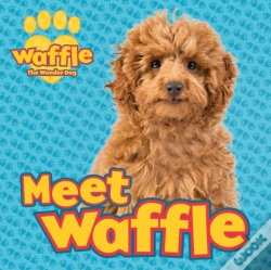 Capa do artigo Meet Waffle!