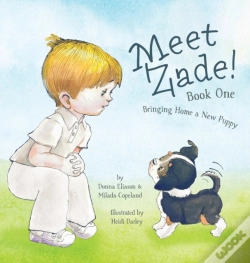 Capa do artigo Meet Zade!