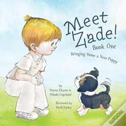Capa do artigo Meet Zade!