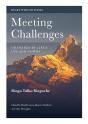 Meeting Challenges - Preview