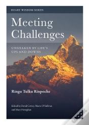 Capa do artigo Meeting Challenges
